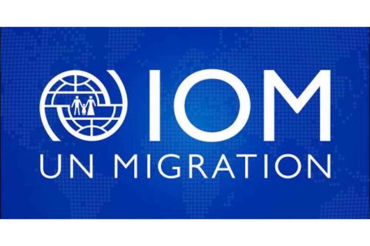 International Organization for UN Migration