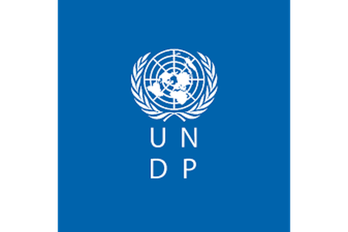UNDP International